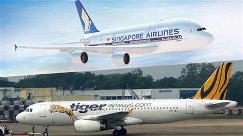 avaliações tigerair singapore|Singapore Airlines proposed takeover of Tigerair a scene .